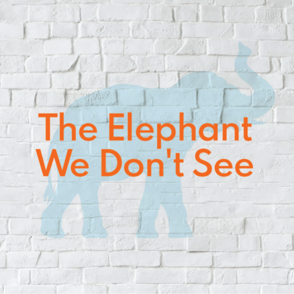 Image for event: The Elephant We Don't See: A Diversity Dialogue &quot;There, There&quot; by Tommy Orange