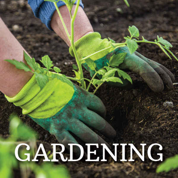 Image for event: Start Your Spring Garden